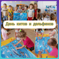 День китов и дельфинов День китов и дельфинов.